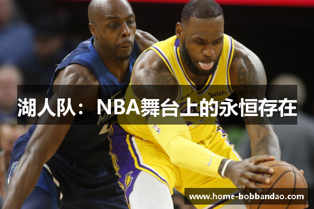 湖人队：NBA舞台上的永恒存在