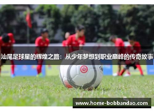 汕尾足球星的辉煌之路：从少年梦想到职业巅峰的传奇故事
