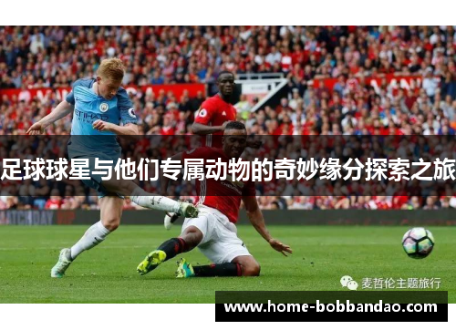 足球球星与他们专属动物的奇妙缘分探索之旅